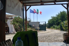 Immagine-WhatsApp-2024-11-07-ore-14.05.17_495c4939