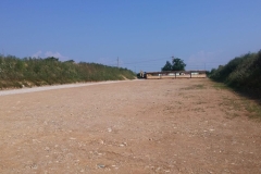 Immagine-WhatsApp-2024-11-07-ore-14.05.20_82d5d24b